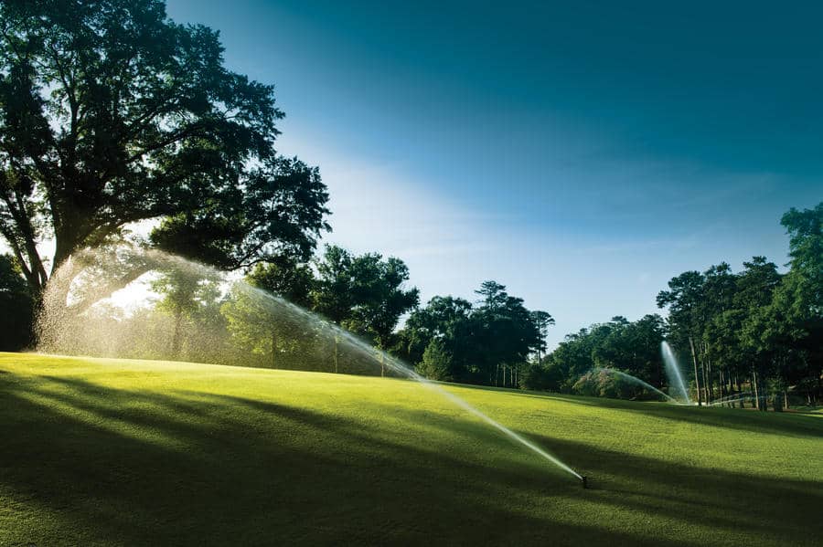 Welche Bewässerungsarten gibt es?