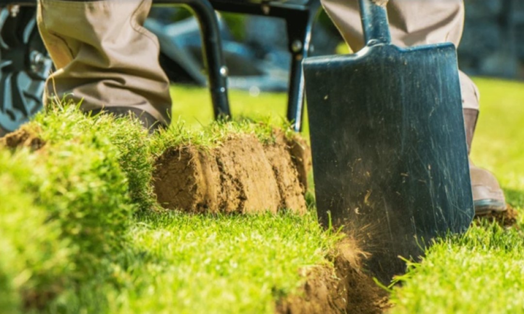 Gartenbewässerung selber bauen