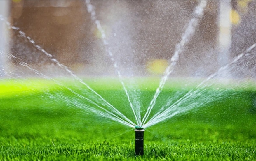 Die Unsichtbare Gartenhilfe: Unterflurbewässerung