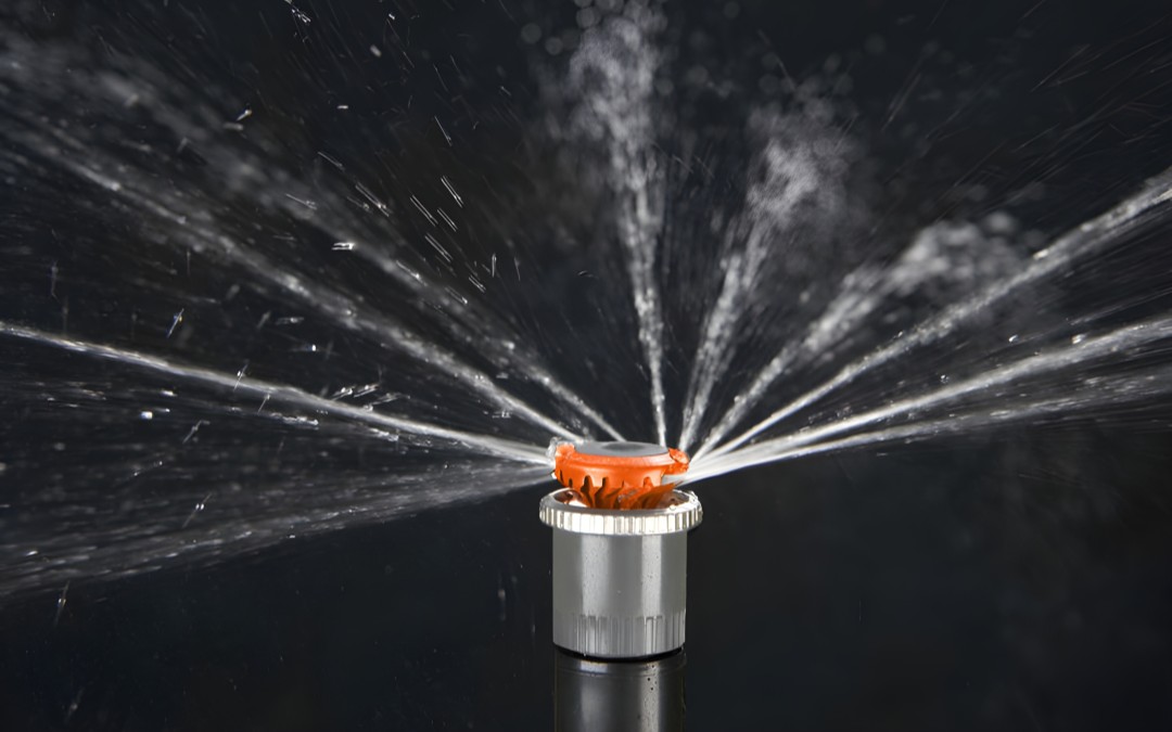 Wissenschaft hinter der perfekten Bewässerung