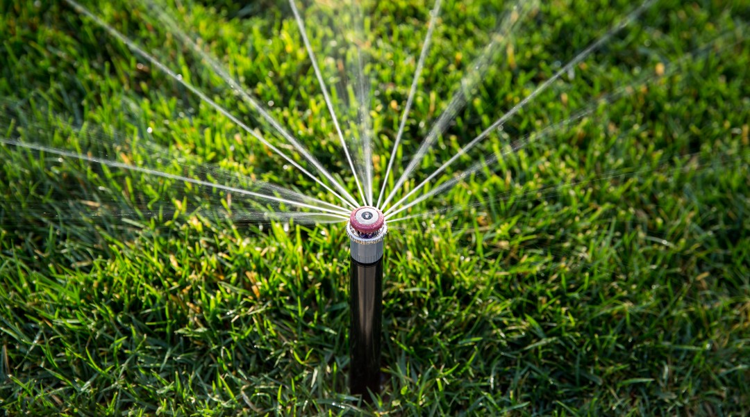 hunter-mp-rotator-800-beregnet-rasen