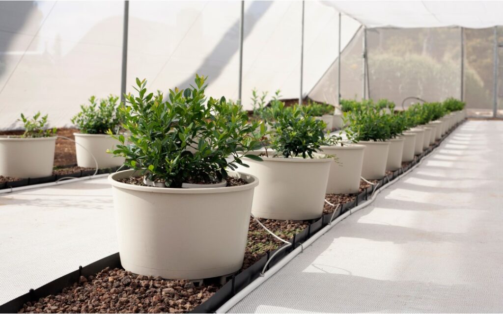 netafim-net-bow-bewaesserungsring-angeschlossen-in-toepfen